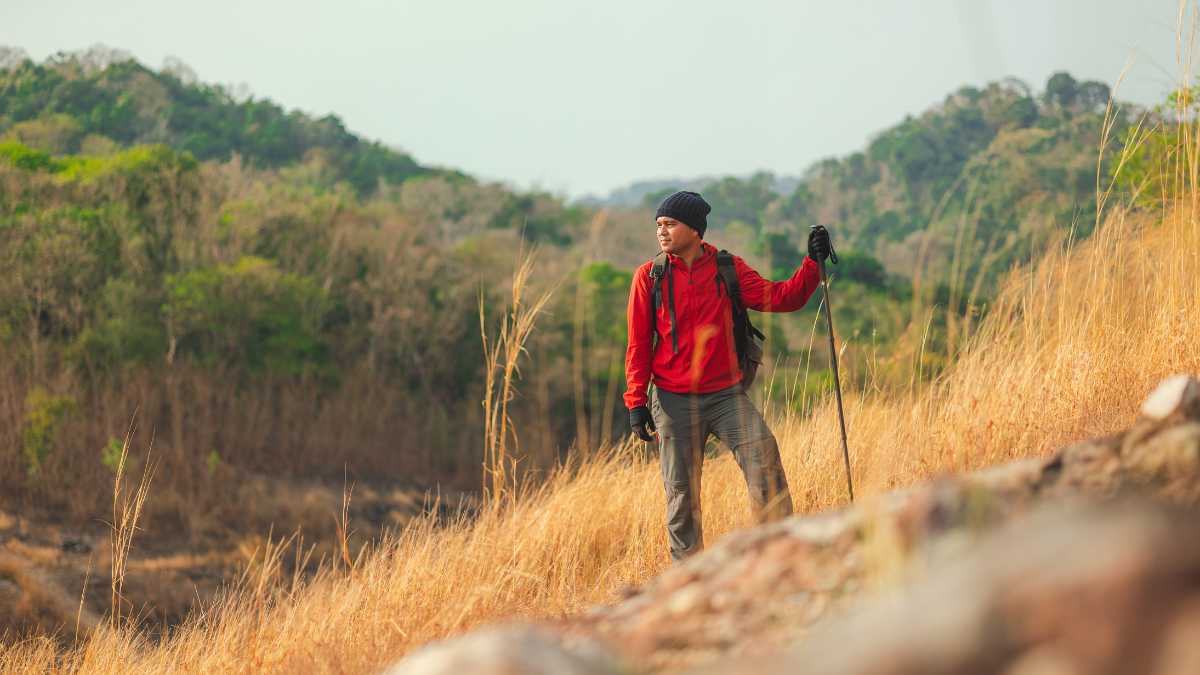 I migliori trekking vicino a Ferrara