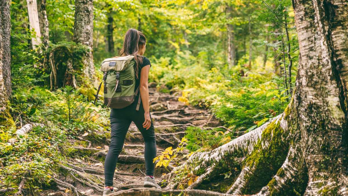 I migliori trekking vicino a Modena: avventure nel cuore dell'Emilia-Romagna