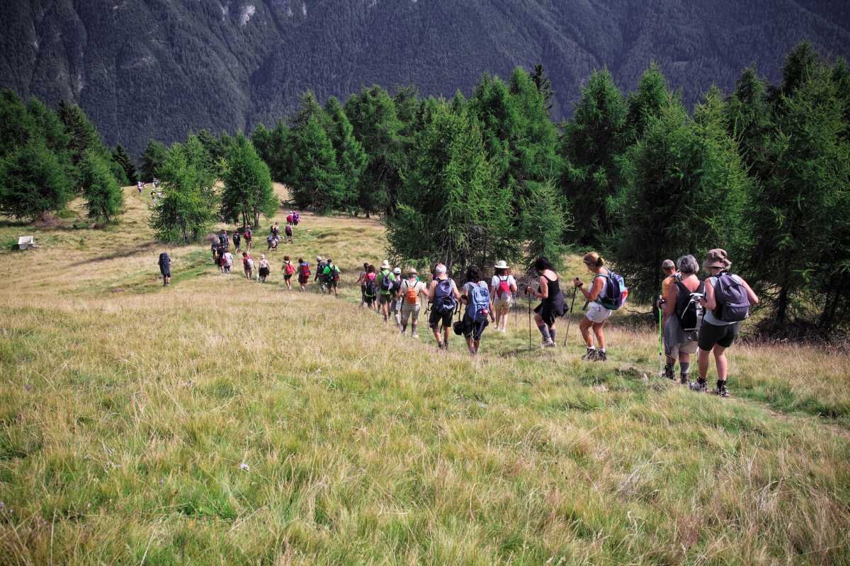 Vista panoramica delle colline intorno a Parma, con sentieri e vegetazione tipica