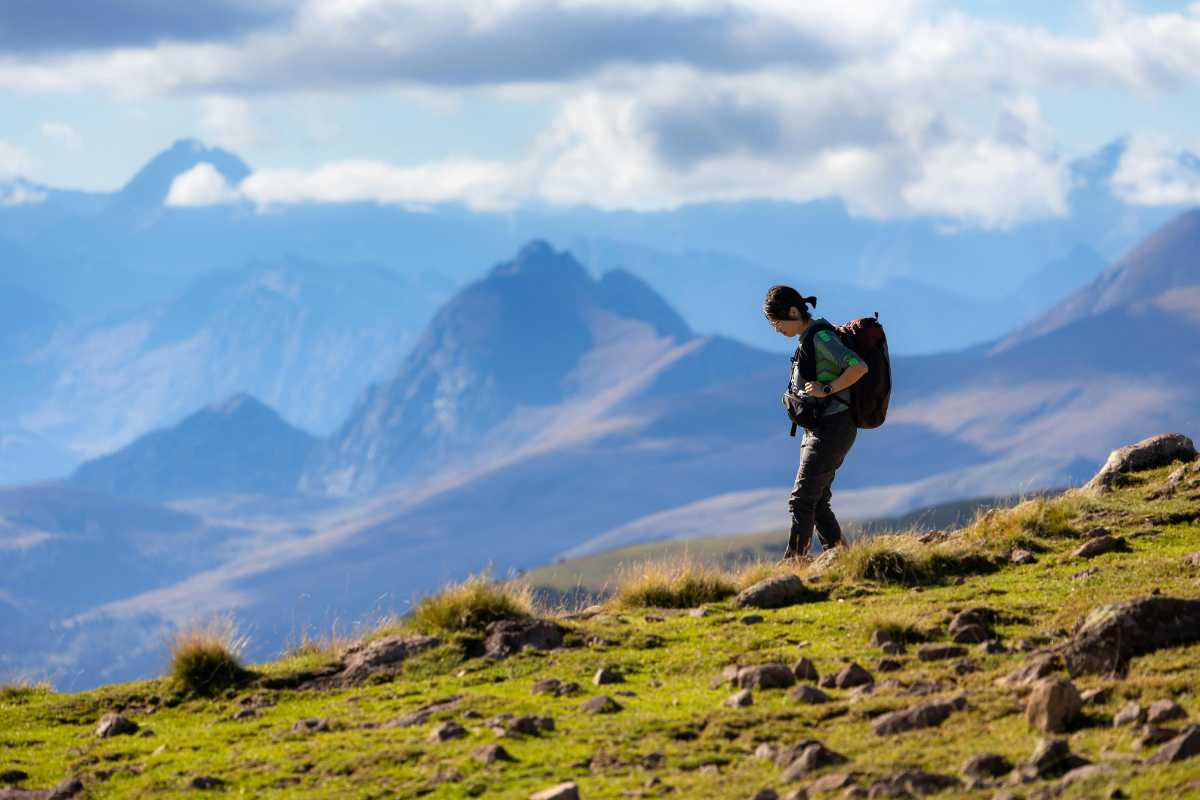 Panorama dei sentieri attorno a Ravenna, evidenziando la bellezza naturale