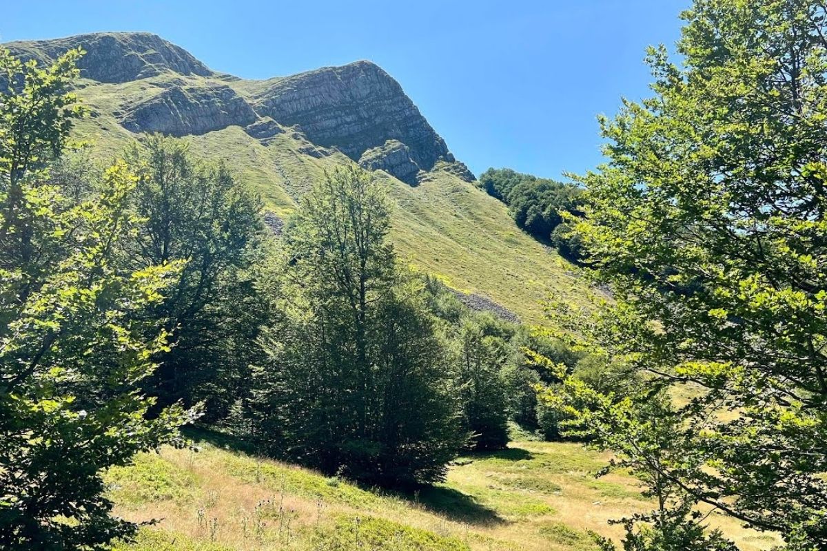 Scorcio dell'Appennino romagnolo, perfetto per escursioni e attività all'aperto
